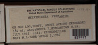 Image Associated With the Occurence